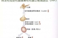 IHH激素激发试验