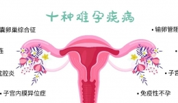 【孕育新篇】十种疾病大揭秘，助你轻松变身孕妈咪！