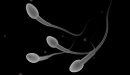 【男泌书】年纪轻轻精子没活力？