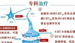 【男泌书】早泄系列-4：诊疗方法推荐