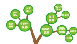 卵巢囊肿7大风险，如何自救？