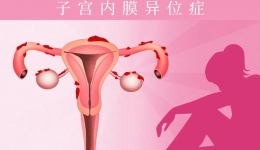 乱跑的“内膜”，该拿你怎么办？