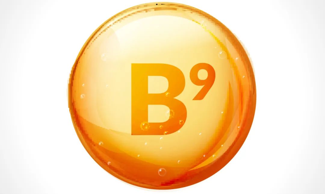 B9.jpg
