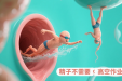 同房姿势影响怀孕？医生揭秘3个“助孕体位”真相
