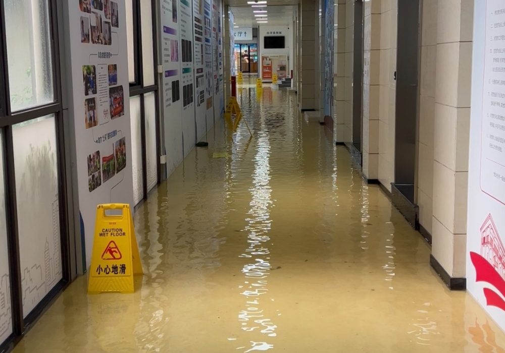 闻汛而动，风雨守护——上海计生所医院全员防御台风