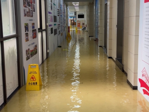 闻汛而动，风雨守护——上海计生所医院全员防御台风